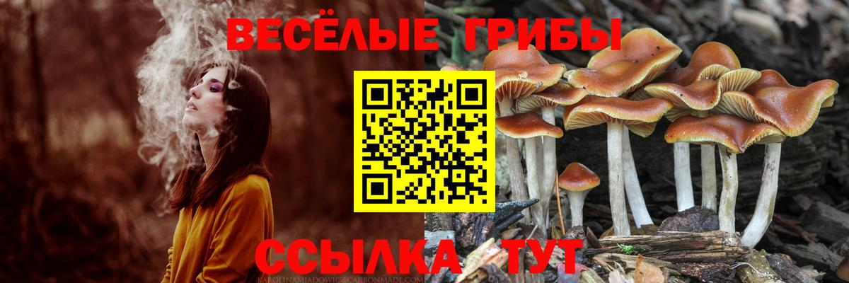 купить наркоту  Вход с VPN  Солнечногорск  Псилоцибиновые грибы Magic Shrooms 